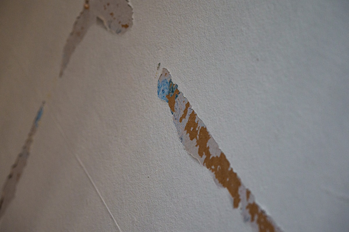 Water Extraction service in Newark, OH